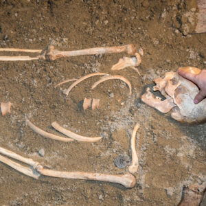 grave robbers digging up body