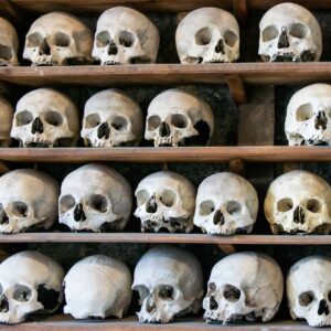 grave robbing skulls on shelves