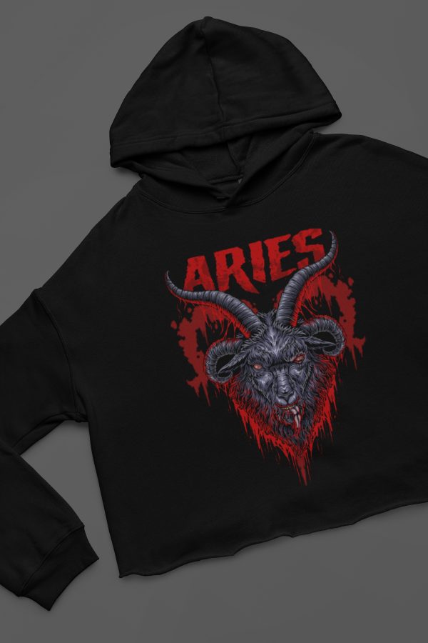 close up of cropped aries zodiac hoodie design
