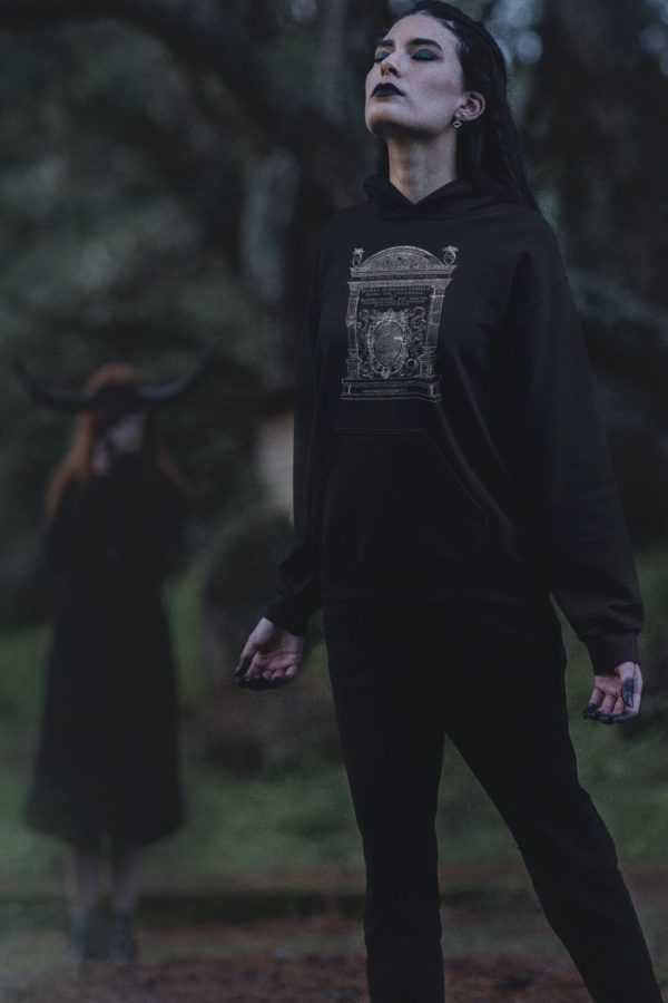 Monas Hieroglyphica Hoodie - Image 5