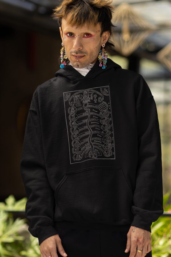 Harmony of the Spheres Hoodie - Image 4